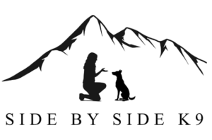 https://www.sidebysidek9.se/